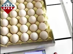 طابعة حبر البيض الصغيرة محور Xy طابعة حبر البيض الذكية ذاتية التشغيل بالكامل